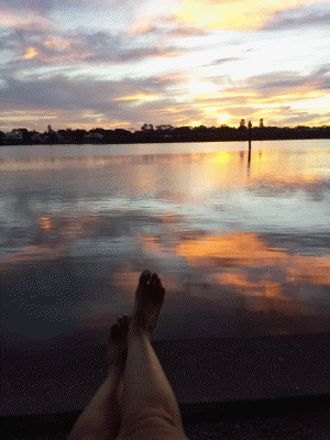 Sunrise Little Sarasota Bay